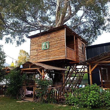 Daidala Life Bed and Breakfast Göcek Exteriör bild