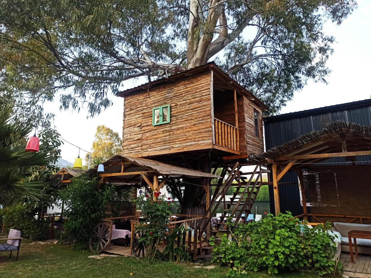 Daidala Life Bed and Breakfast Göcek Exteriör bild